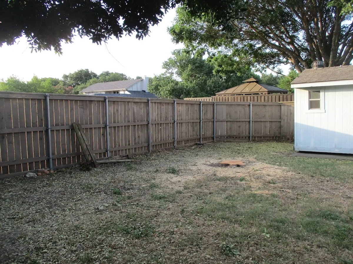 Cleared yard after professional tree removal in Viburnum